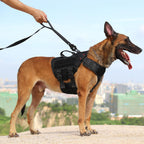 Reflective Dog Leash for Medium to Large Breeds, K9 Training Walking Lead with Dual Handles and Heavy-Duty Auto-Lock Metal Clasp (6ft, Black)