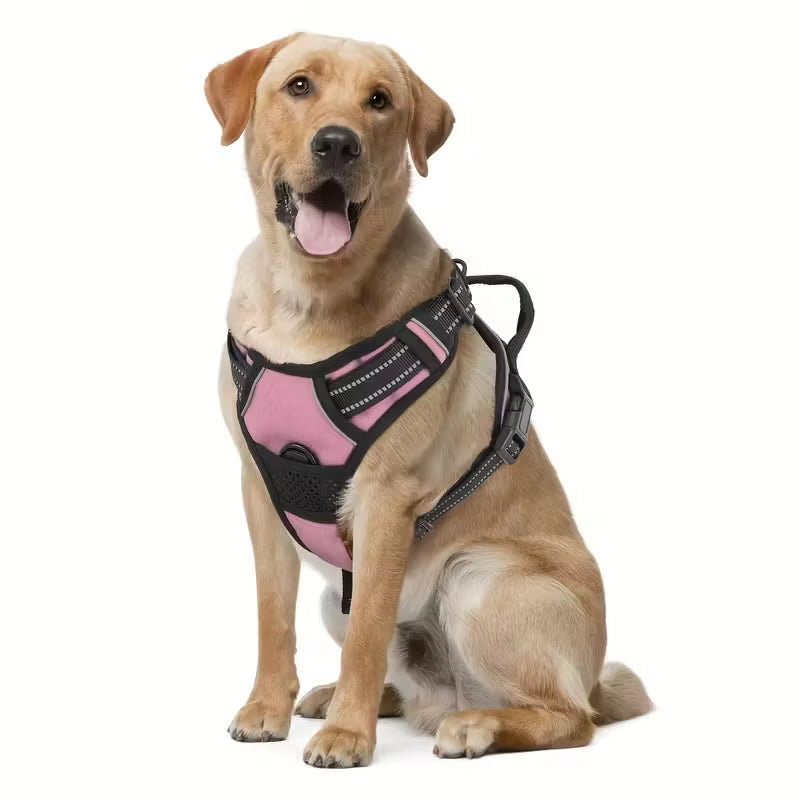 Reflective No-Pull Safety Harness