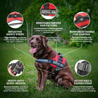 Professional Adjustable Service Dog Harness with Handle - 8 Size Options (XXXS to XXL) - Reflective Patch and Comfortable Mesh Design in Vibrant Red