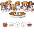 Premium Stainless Steel Dog Bowls 