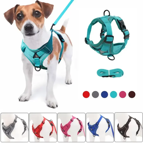 Adjustable Mesh Harness & Leash