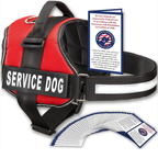 Professional Adjustable Dog Harness with Handle 