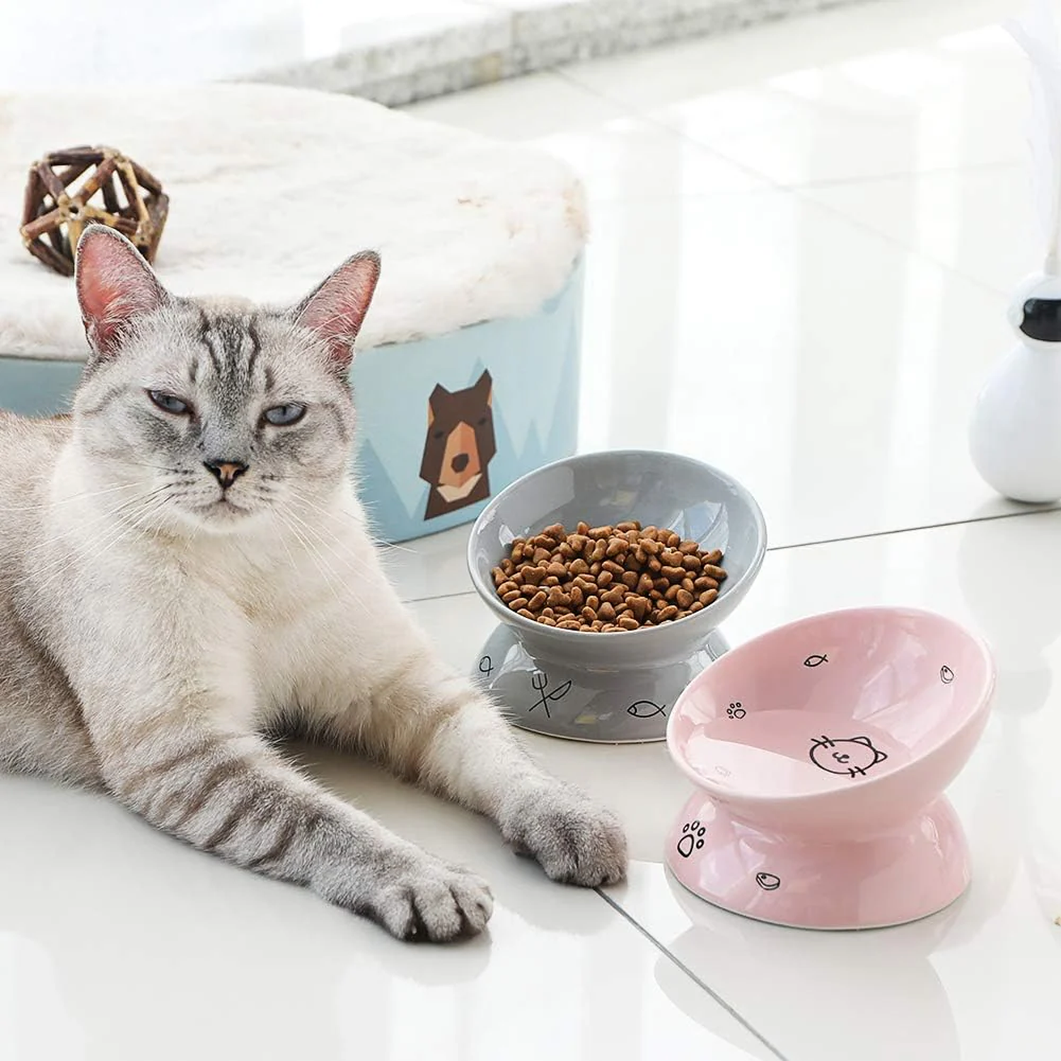 Elevated Ceramic Cat Bowls for Food and Water