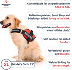 Professional Adjustable Service Dog Harness with Handle - 8 Size Options (XXXS to XXL) - Reflective Patch and Comfortable Mesh Design in Vibrant Red