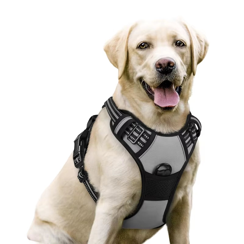 Reflective No-Pull Safety Harness