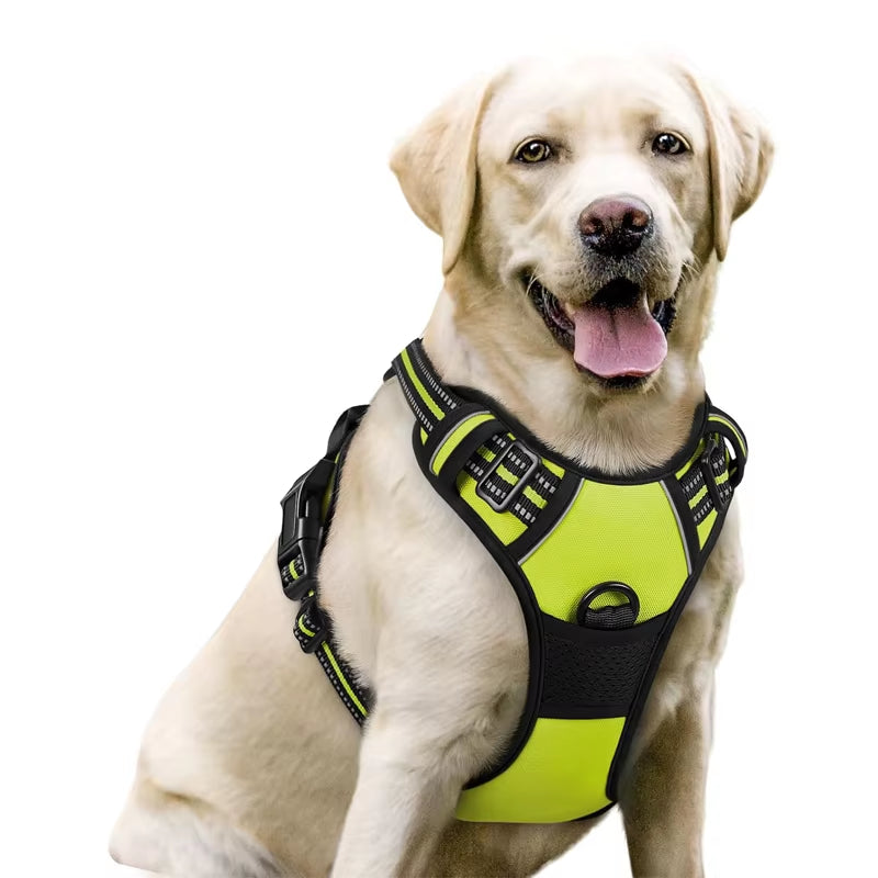 Reflective No-Pull Safety Harness