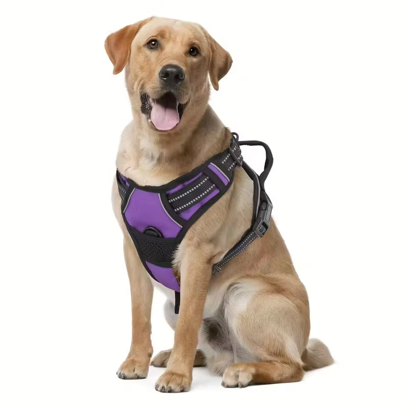 Reflective No-Pull Safety Harness