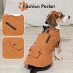 Professional Dog Coats with Integrated Harness for Small Breeds - Windproof and Insulated Winter Jacket with Storage Pockets - Bright Beige, Size M