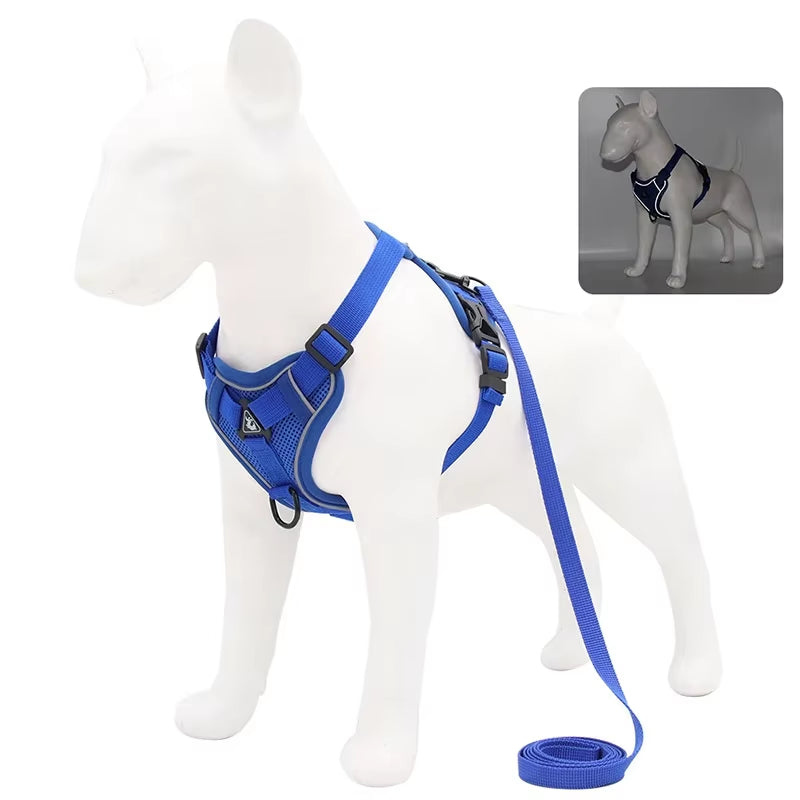 Adjustable Mesh Harness & Leash