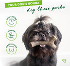 Maplestick Premium Real Wood Dog Chew Toy, Large Size, Made in the USA