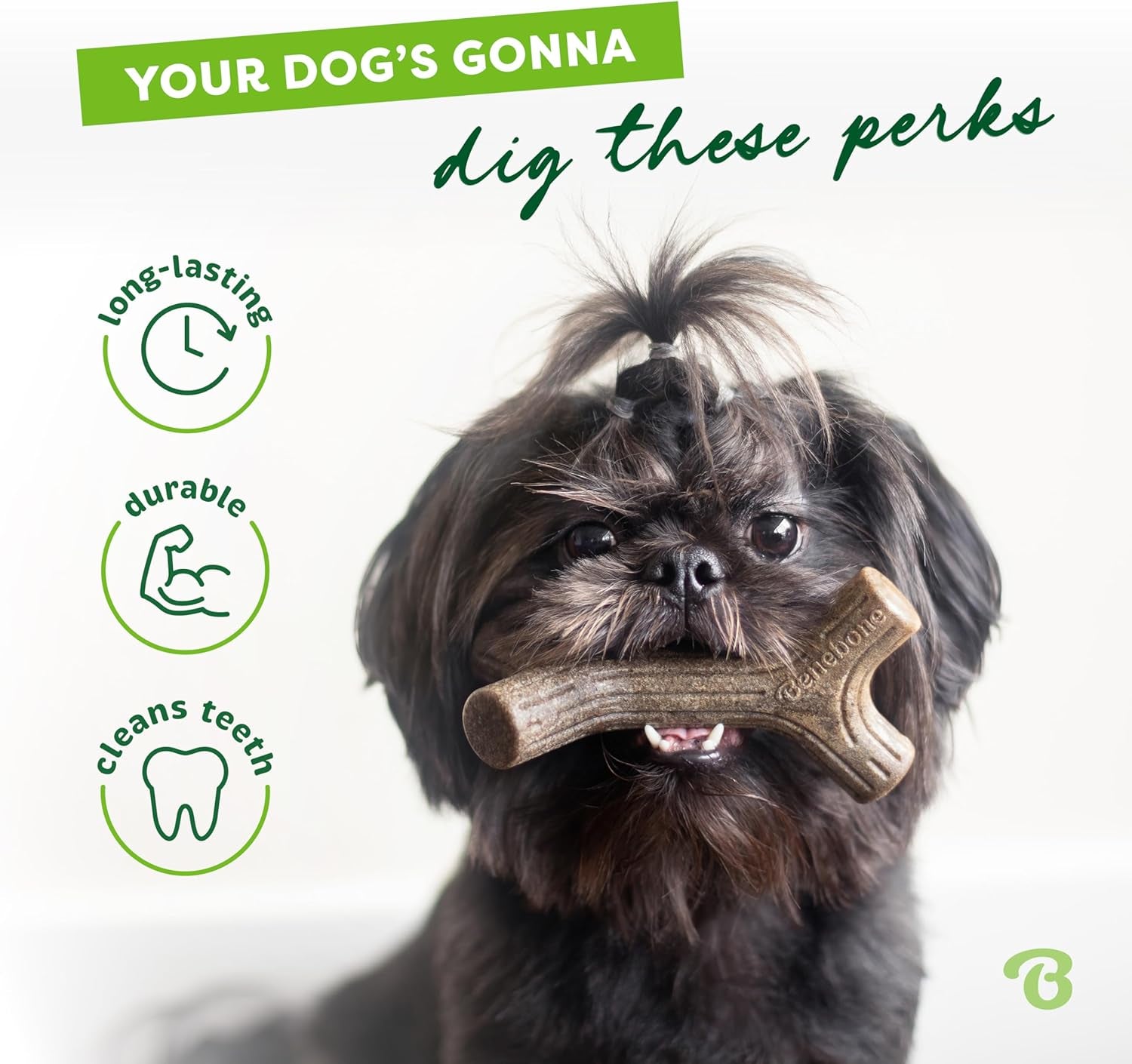 Maplestick Premium Real Wood Dog Chew Toy, Large Size, Made in the USA