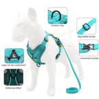 Adjustable Mesh Harness & Leash