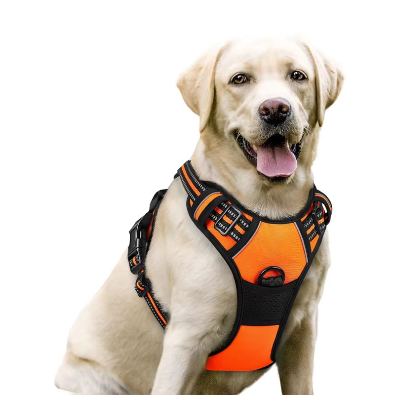 Reflective No-Pull Safety Harness